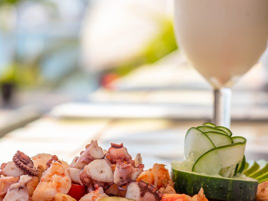 Primer moemto servicio concierge paramar, The Paramar Beachfront hotel Boutique PV