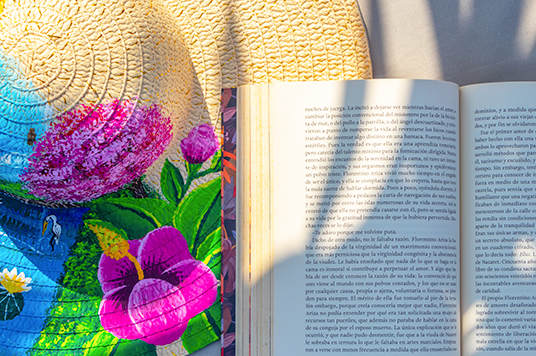 Vision nosotros paramar, The Paramar Beachfront hotel Boutique PV